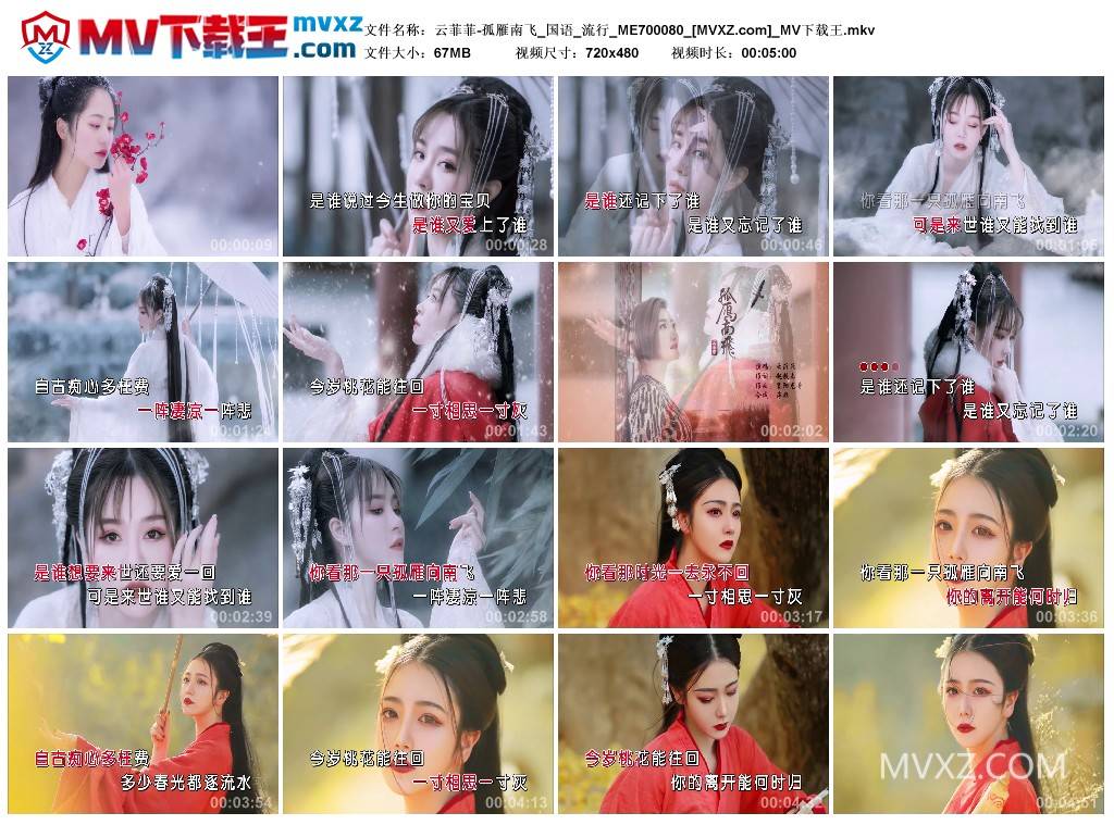 云菲菲-孤雁南飞_国语_流行_ME700080